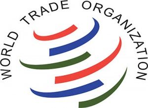عزم دولت برای حضور ایران در WTO