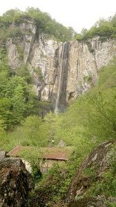 «لاتون» آبشاری در دل جنگل‌های گیلان