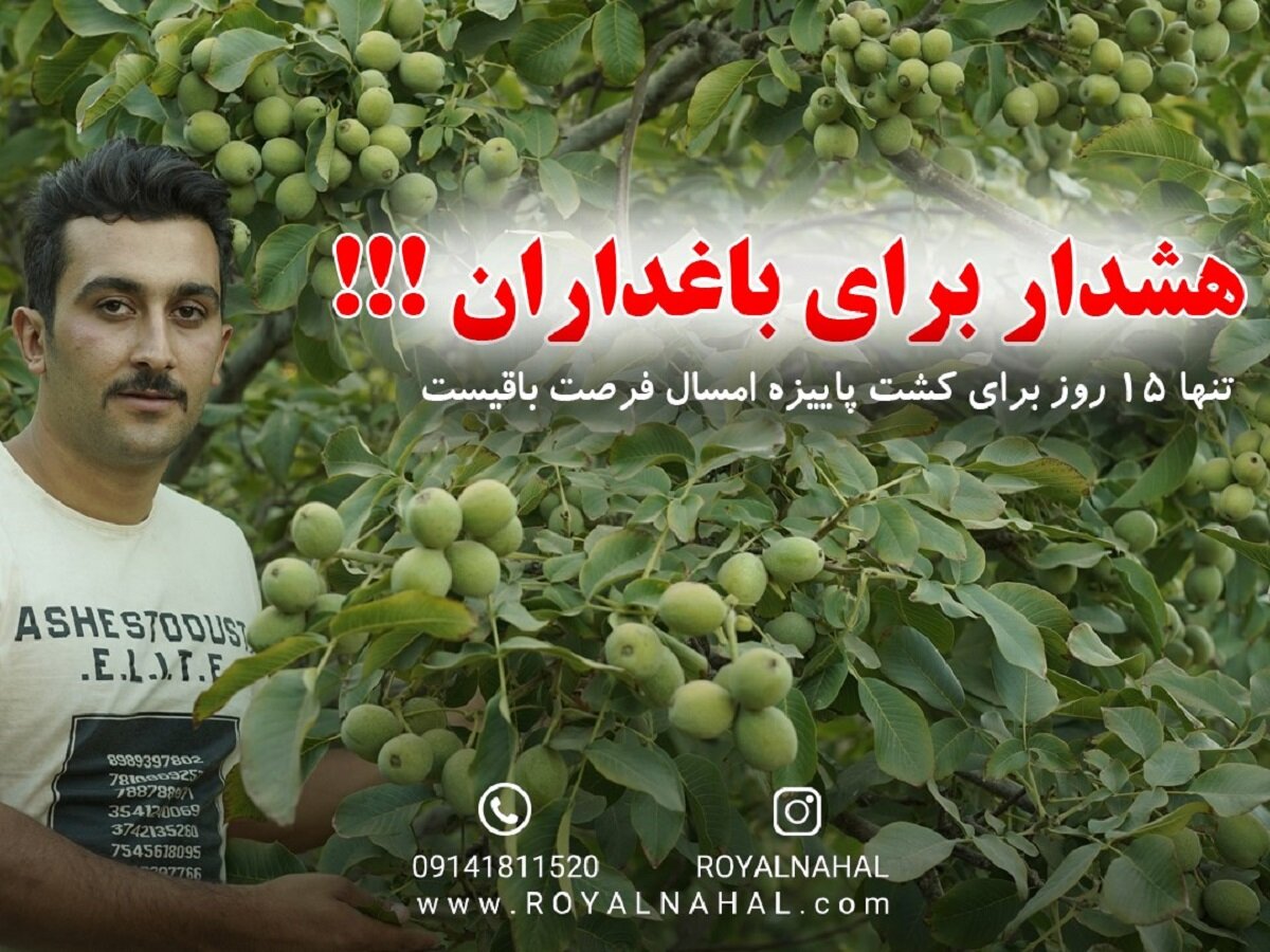 هشدار برای باغداران، تنها ۱۵ روز برای کشت پاییزه امسال فرصت باقیست
