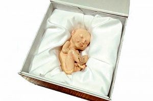 پرینت سه‌بعدی از جنین انسان