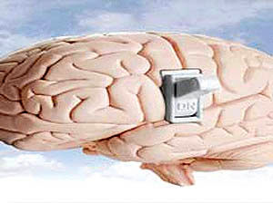 ساخت کارت‌های حافظه پرسرعت با الهام از مغز انسان
