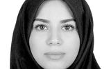 پارادوکس های رگولاتوری همیشه حاضر