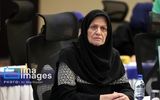 شجاعی: هنوز تصمیمی برای ماندن قلعه‌نویی نگرفته‌ایم