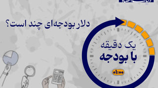 دولت در لایحه بودجه 1405 دلار را چند حساب کرده است؟