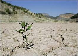 خشکسالی ۱۱ هزار میلیارد تومان به بخش کشاورزی لرستان خسارت وارد کرد