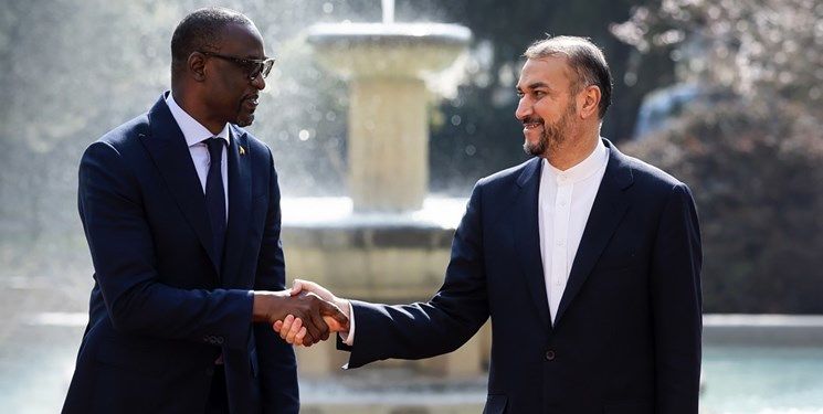 جزئیات دیدار و گفت‌وگوی وزیر خارجه مالی با امیرعبداللهیان+عکس