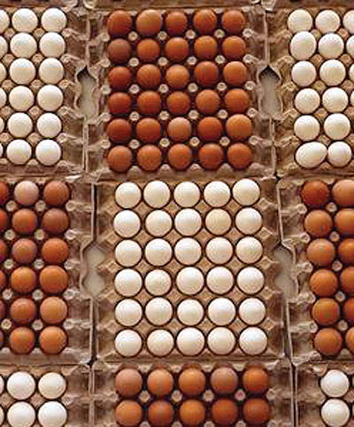 واردات تخم‌مرغ منتفی شد