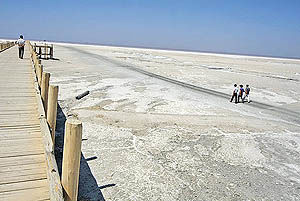 احیای ویژه  دریاچه ارومیه