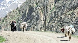 حضور حداکثری زنان در صنایع روستایی