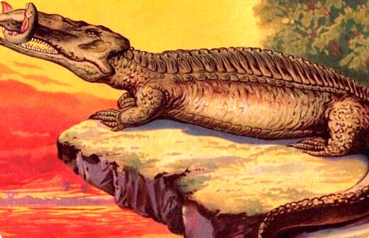 کشف تمساح غول‌پیکر باستانی در یک کشور