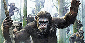 حکمرانی میمون‌ها  برگیشه سینمای جهان