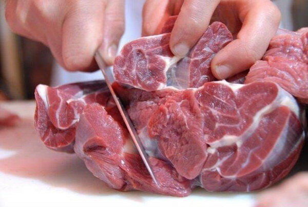 هشدار درباره یک بیماری خطرناک/ علائم ابتلا به تب کریمه کنگو را بشناسید