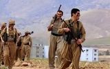 ترامپ کمک‌های امنیتی به نیروهای پیشمرگ کردستان را قطع می‌کند