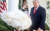 صحنه عجیب در کاخ سفید/ ترامپ صدای بوقلمون درآورد! + فیلم