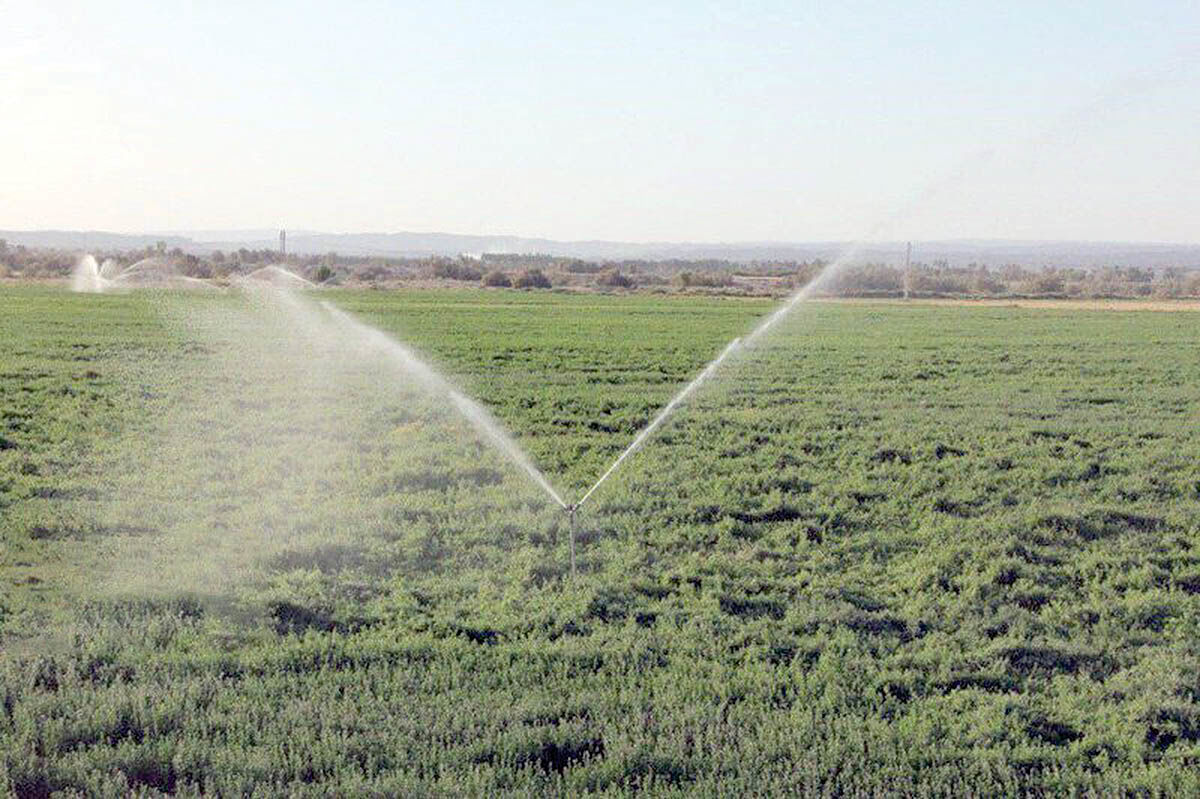 اجرای طرح بهینه سازی مصرف آب کشاورزی در ۴٠٠ هکتار از مزارع اصفهان