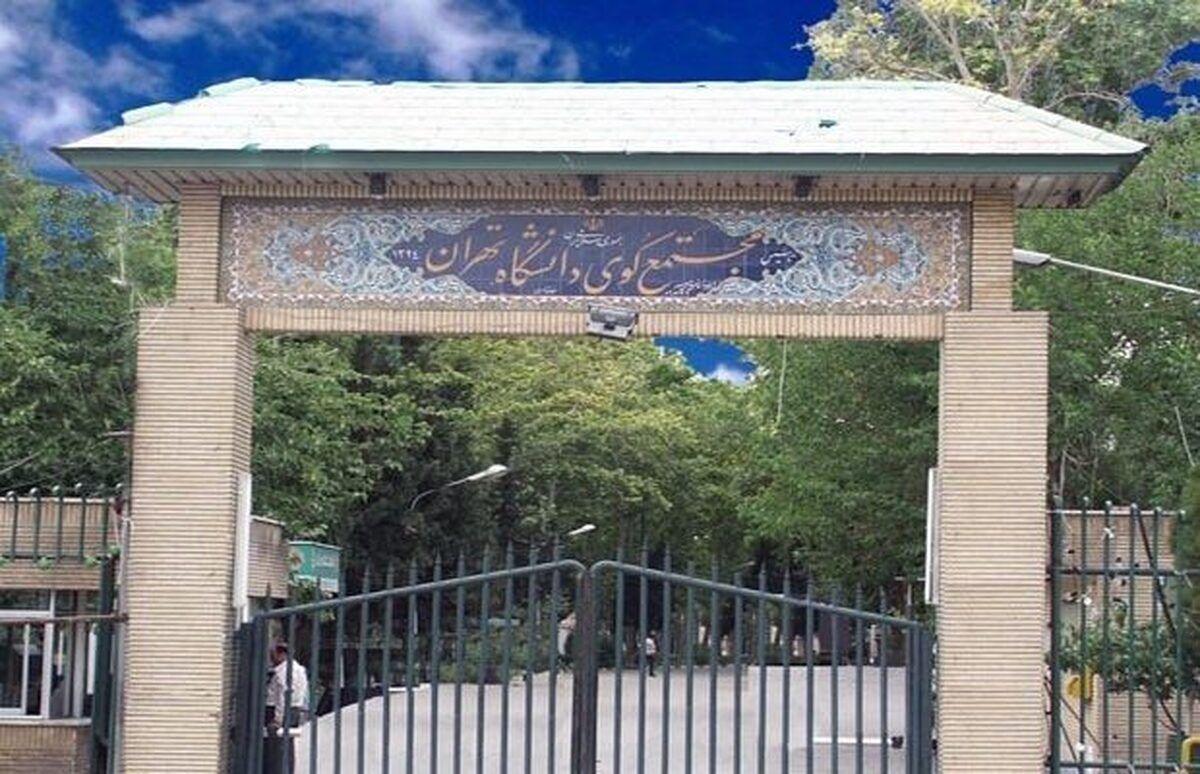 آقای رئیسی این لباس شخصی ها که هستند که به هیچ قانونی پایبند نیستند /در جریان حملات دیروز و دیشب به خوابگاه ها و دانشگاه ها هستید؟