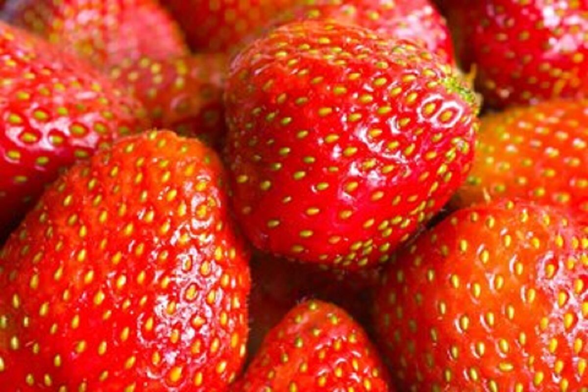 این میوه محبوب محافظ مغز و حافظه ماست 