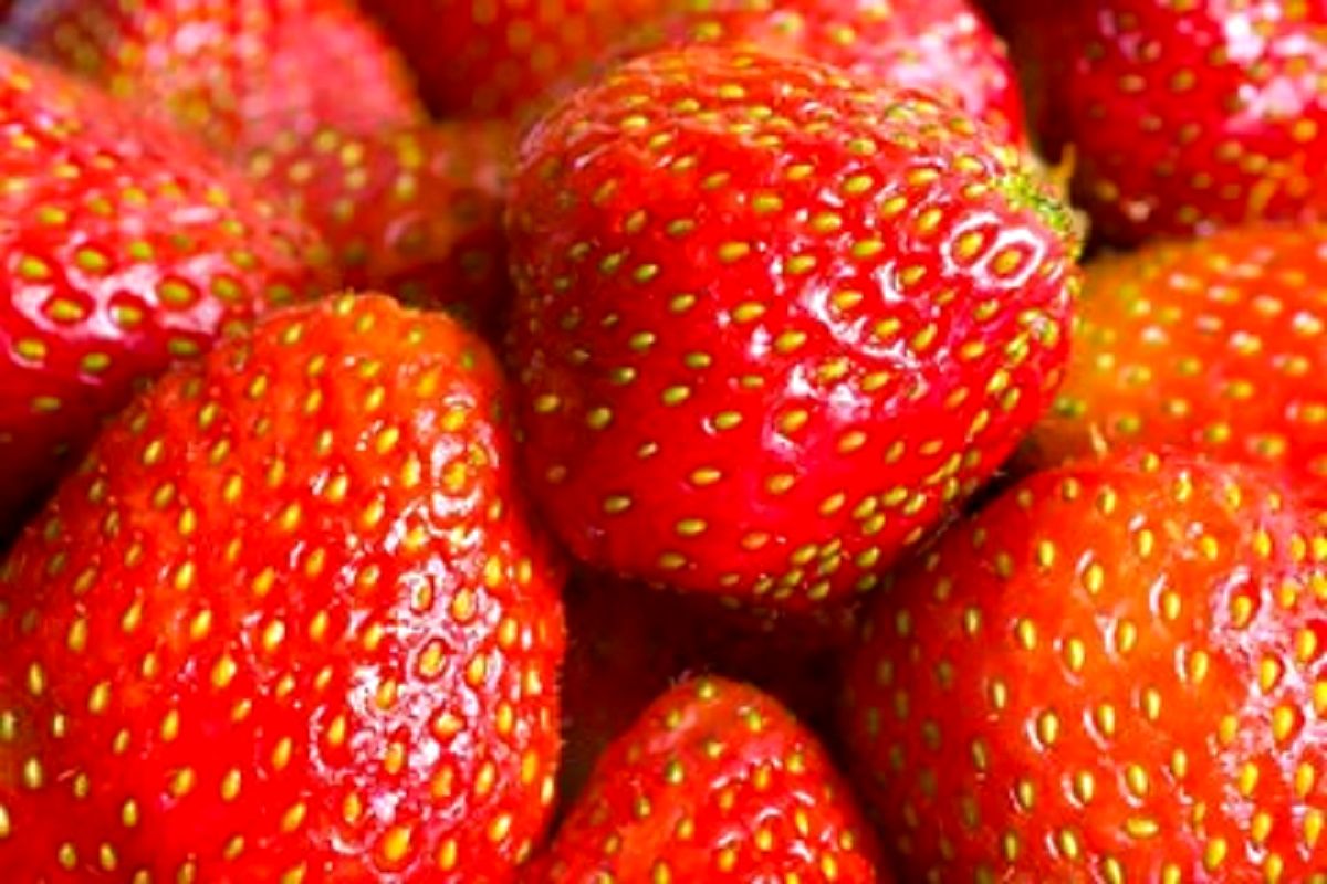 این میوه شیرین از ابتلا به دیابت پیشگیری می کند