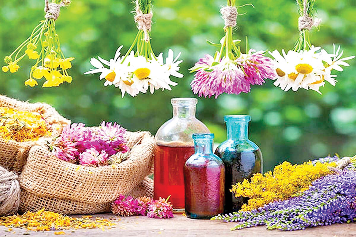 گیاهان دارویی؛ صنعتی سودآور 