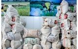 نرخ جدید برنج اعلام شد