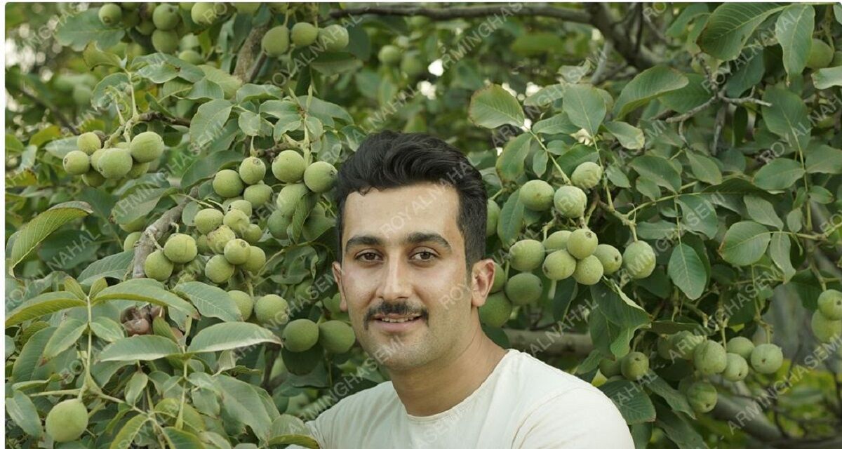 آشنایی با رکوردار تولید نهال گردو در کشور