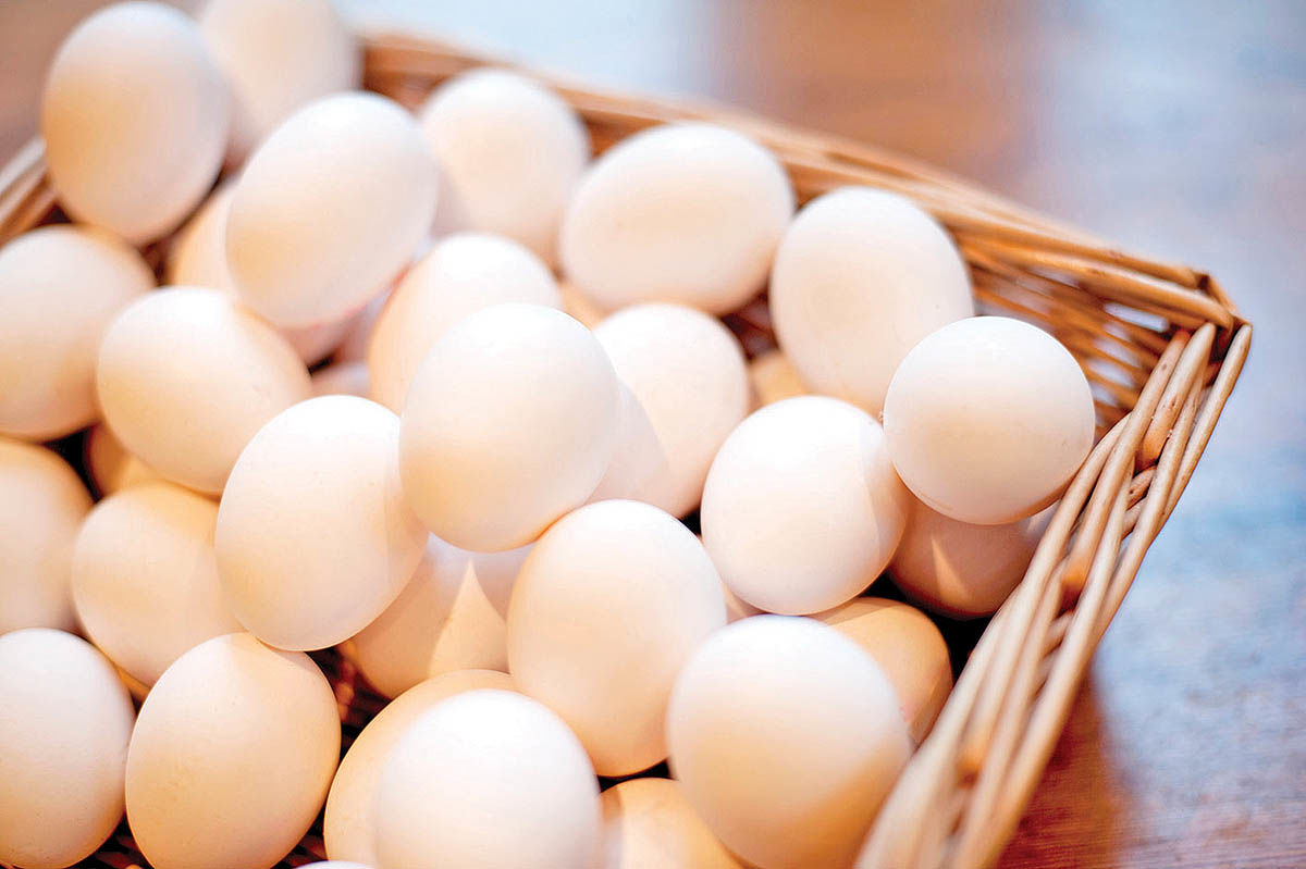 هشدار درباره کاهش تولید تخم مرغ