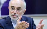 علی‌اکبر صالحی: ناتوانی در مدیریت سوءتفاهم‌ها می‌تواند پیامدهایی گسترده به دنبال داشته باشد/ از مسیر صلح حدیبیه می توان به فتح مکه رسید