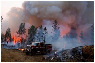 گسترش آتش‌سوزی‌های جنگلی در نیومکزیکوی آمریکا/ وضعیت فوق‌العاده اعلام شد
