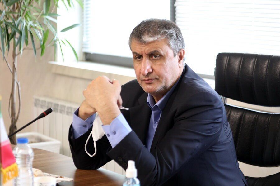 رئیس سازمان انرژی اتمی: رفتار مدیرکل آژانس حرفه‌ای نیست