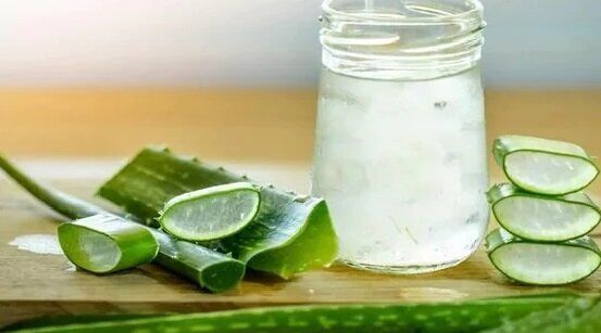 آلوئه‌ورا چه فوایدی دارد؟+طرز تهیه