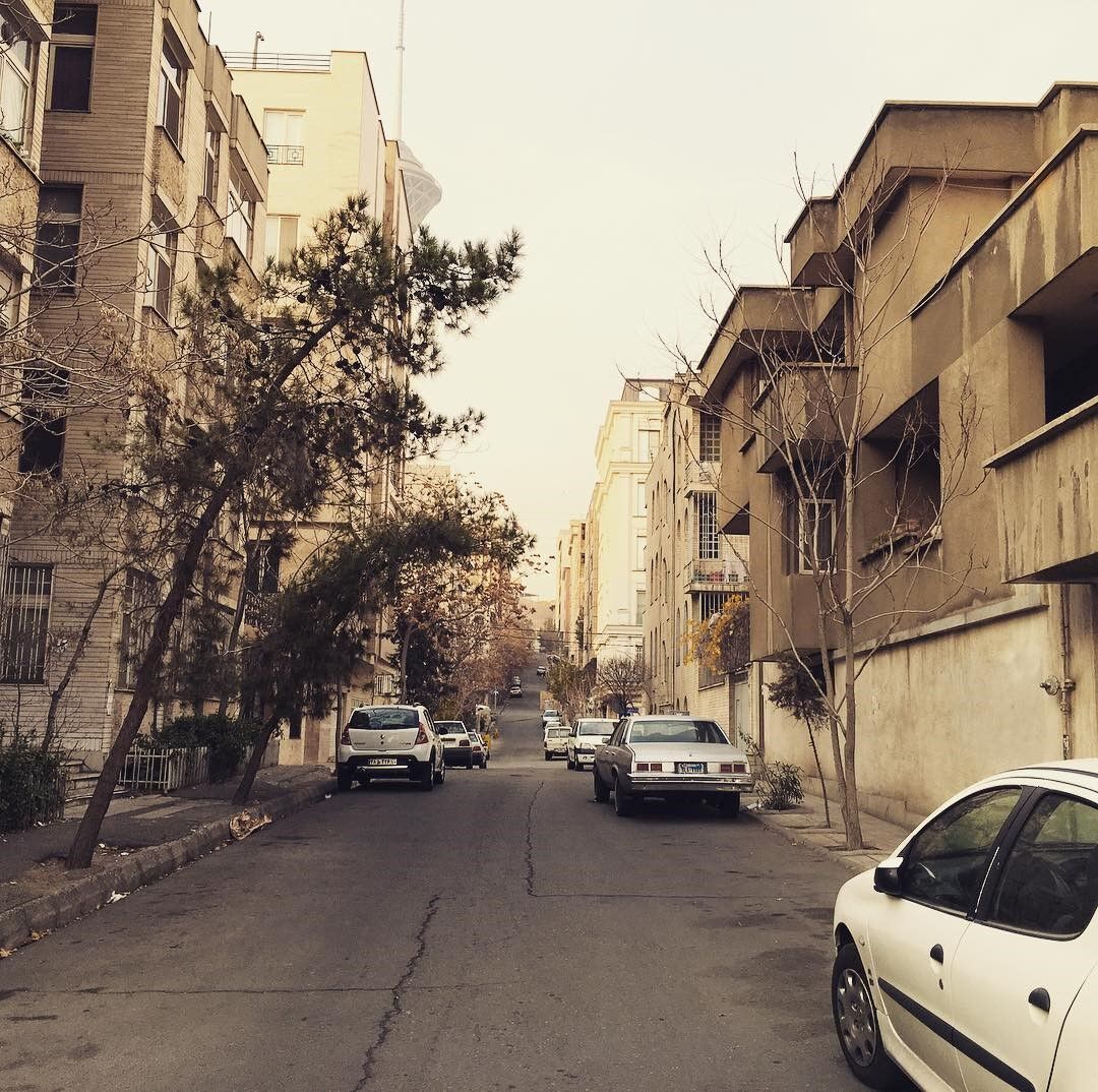 آشنایی بیشتر با گی+شا