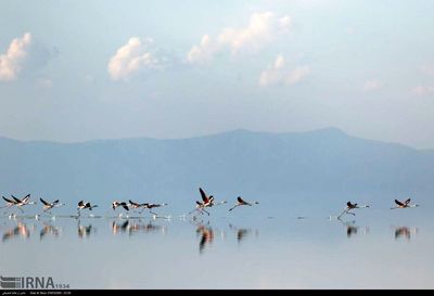رهاسازی آب یک سد دیگر  به سمت دریاچه ارومیه+ فیلم