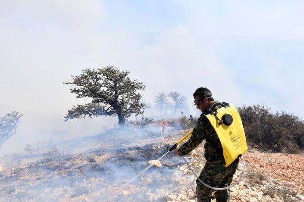 وقوع آتش سوزی گسترده در جنگل های گلستان