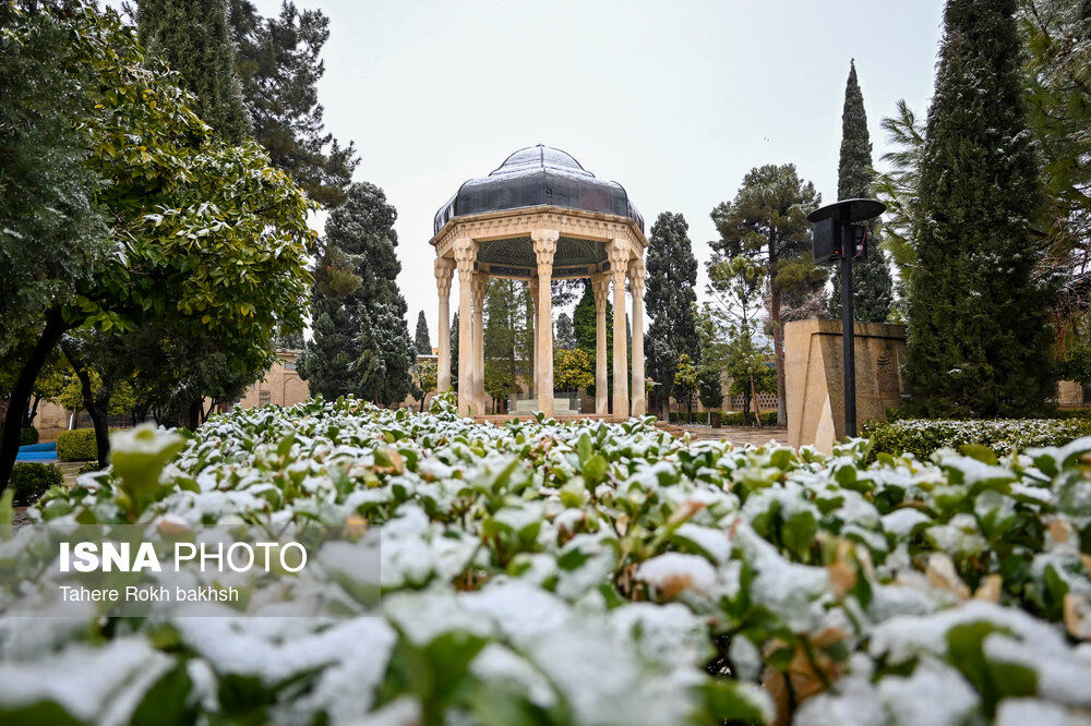 شیراز سپیدپوش شد / بارش برف پس از 12 سال + تصاویر