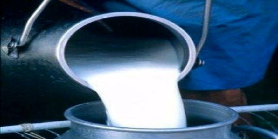  لبنیات باز هم گران می‌شود؟