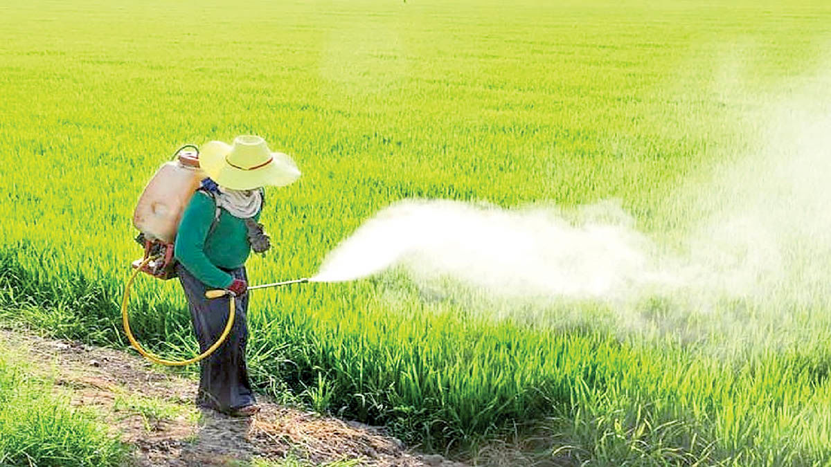 
ضرورت کاهش مصرف سموم شیمیایی کشاورزی 