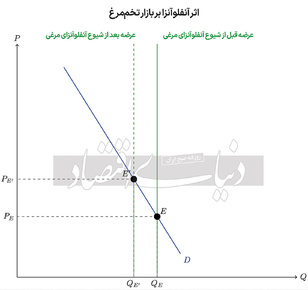 مرغ یا تخم‌مرغ؟