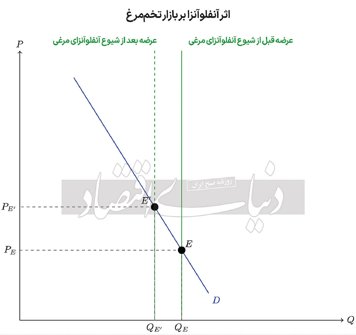 مرغ یا تخم‌مرغ؟