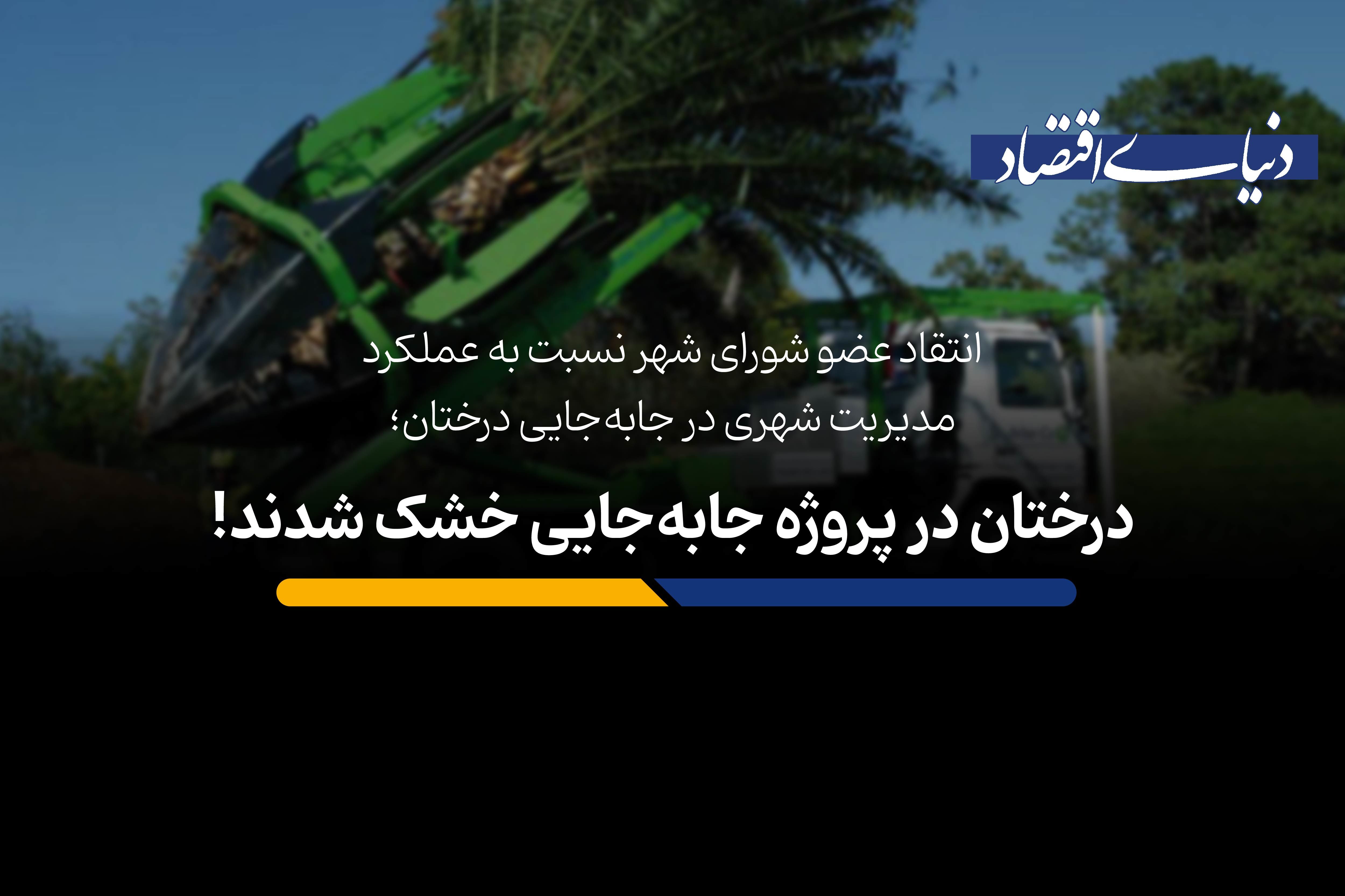 درختان در پروسه جابه‌جایی خشک شدند!