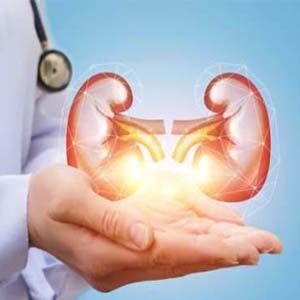 بهترین مواد غذایی برای تقویت سلامت کلیه که نمی دانستید