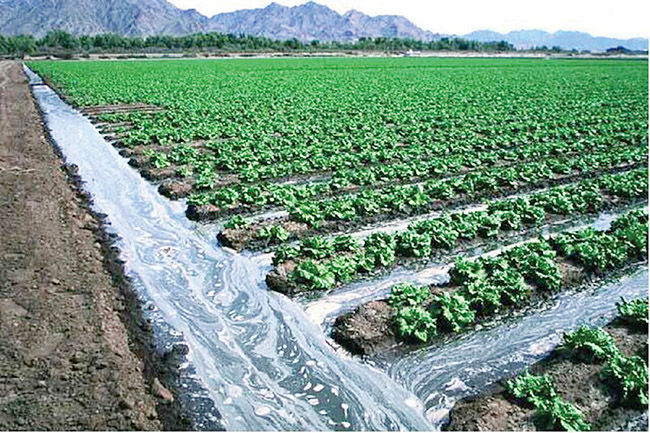 کاهش ۱۷ درصدی تعداد بهره‌برداران کشاورزی در اصفهان