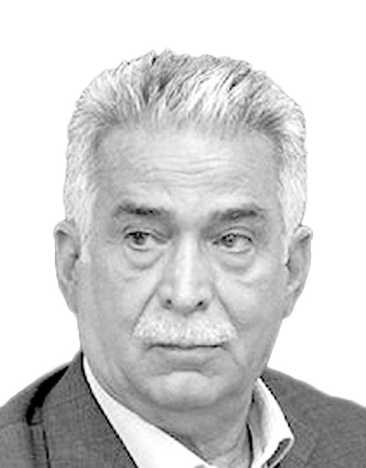  محمدرضا  بهرامن
