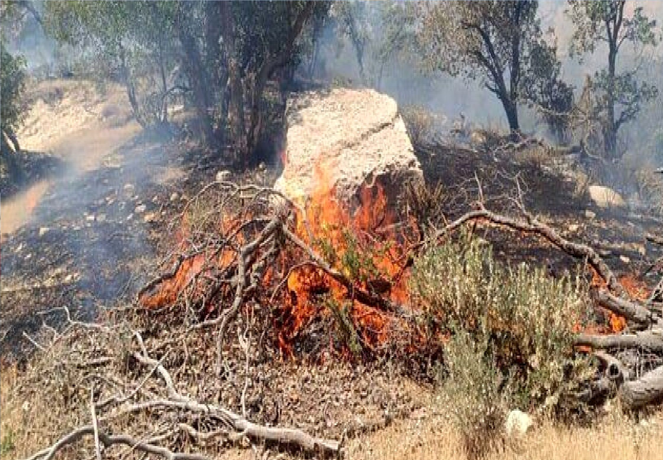پاسخ به شایعات مبنی بر تداوم آتش‌سوزی در آرادکوه