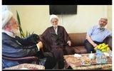 دیدار دوستانه میرحسین موسوی و مهدی کروبی با 5 چهره سیاسی