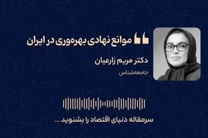 موانع نهادی بهره‌وری در ایران