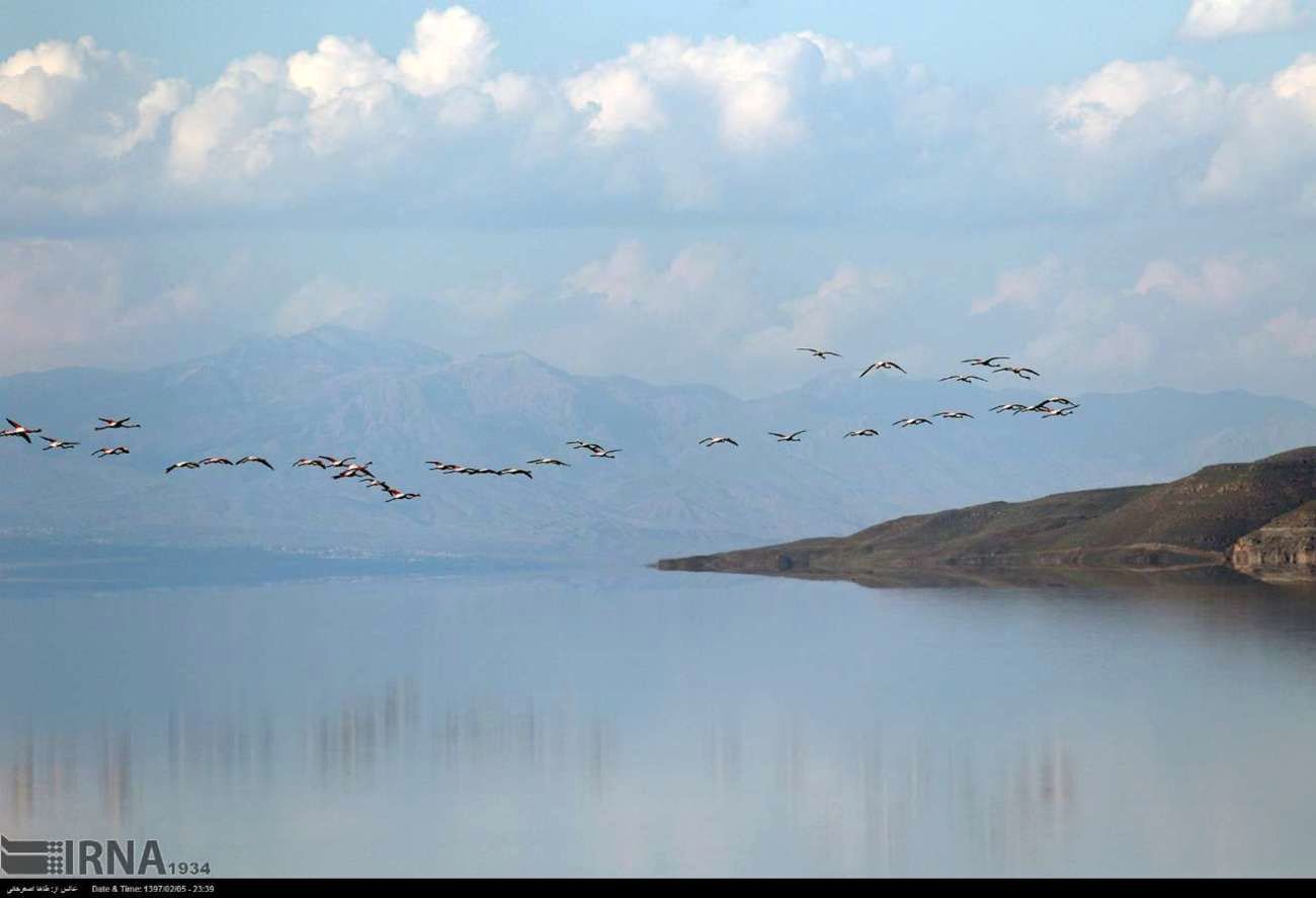 تصاویری دیدنی از حیات تازه دریاچه ارومیه + فیلم