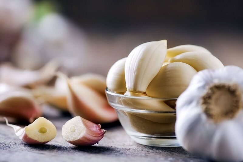 گیاهی که خاصیت ضد سرطان دارد