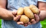 سیب زمینی سرخ شده را با این خوراکی‌ها بخورید
