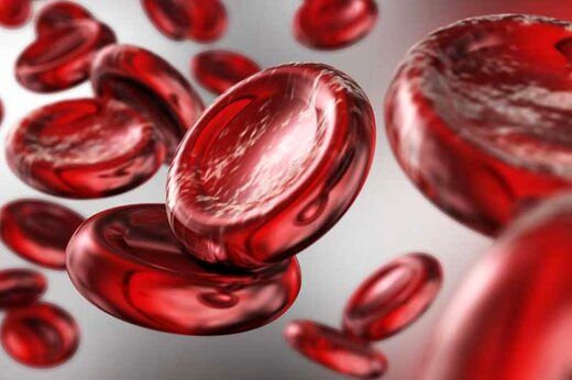 6 ماده غذایی افزایش دهنده هموگلوبین خون