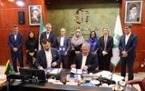 همراهی دیجی‌کالا، دولت ژاپن و سازمان‌ملل برای حفظ تالاب‌های ایران